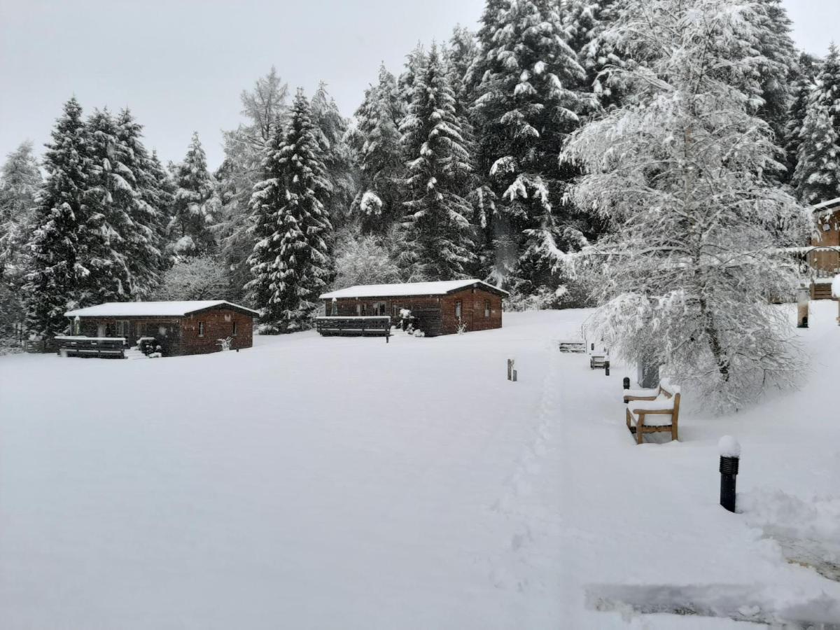 Tayview Lodges Pitlochry Exteriör bild